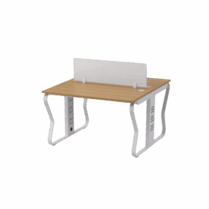 modern sleek 2 seater open work station