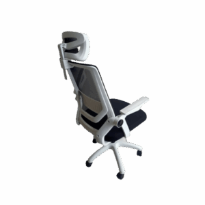 modern premium ergonomic mesh chair