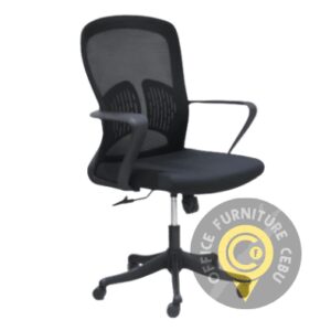Ergonomic Chairs